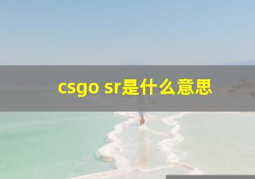 csgo sr是什么意思